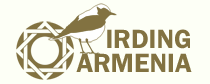 Birding Armenia