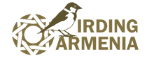 BirdingArmenia